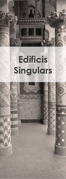 Edificis Singulars